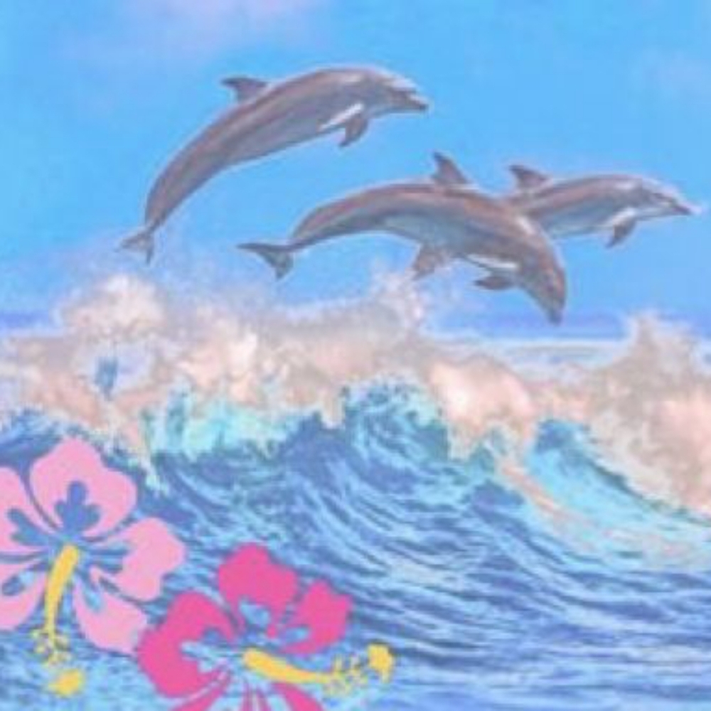 Meet your Posher, Thrift fairyy